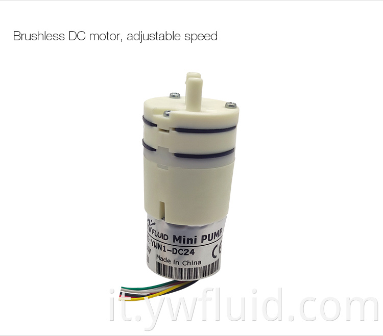 Mini pompa a membrana YWfluid 12V/24V fornitore con motore BLDC e prestazioni elevate